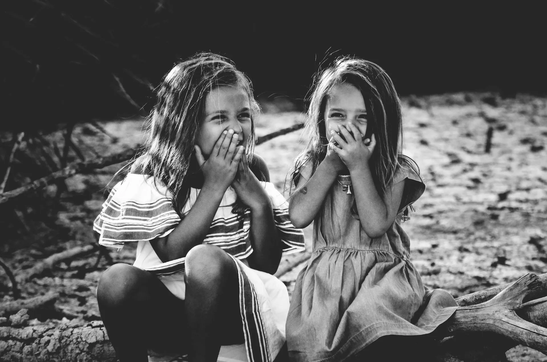 震驚我媽!WordPress .org 開源平臺居然是私人所有…
