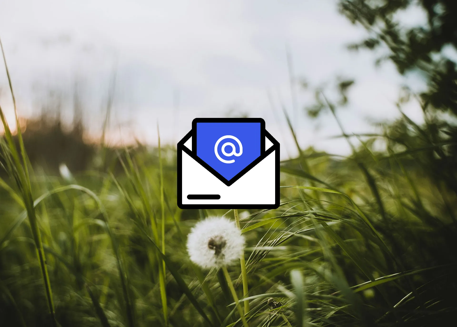 FewMail SMTP v1.0.5 插件发布,轻松解决 WordPress 邮件发送难题!